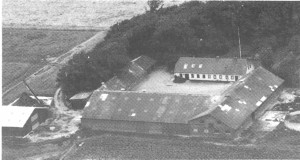 Fig10
