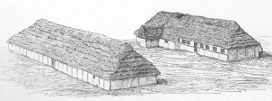 Fig7